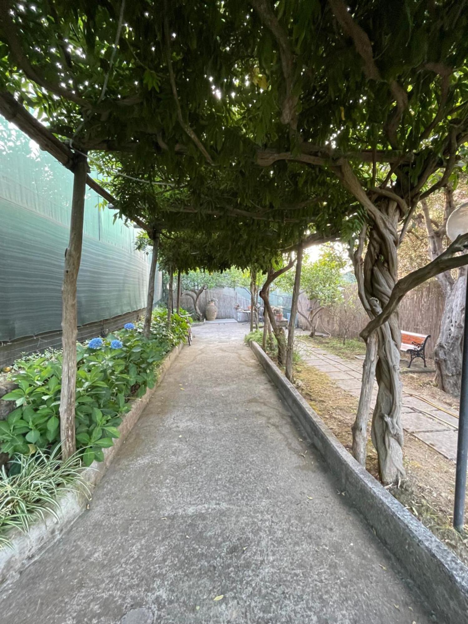 Villa Rosmary Massa Lubrense Dış mekan fotoğraf